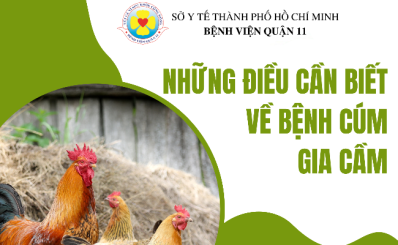 (HCDC-Clip) - Những điều cần biết về bệnh cúm gia cầm